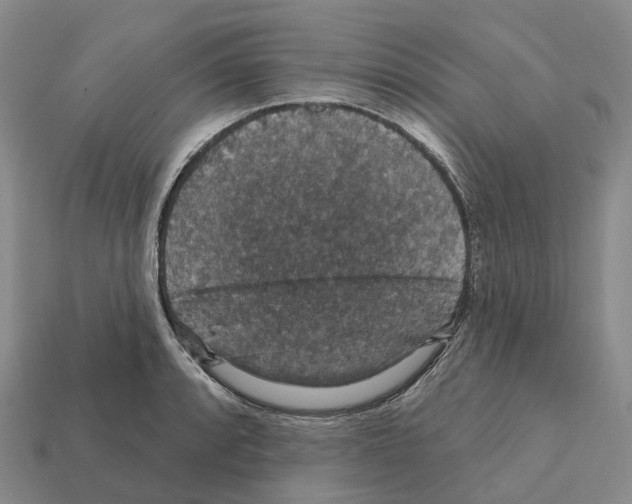 X0000112431088200909251531