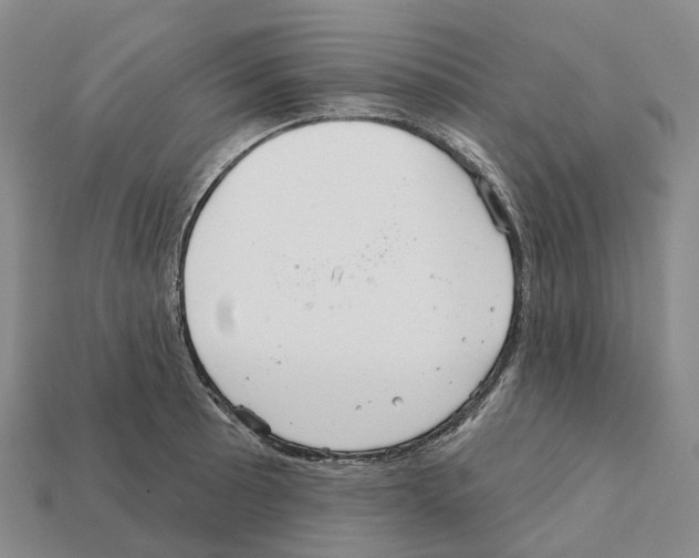X0000112431089200909251531