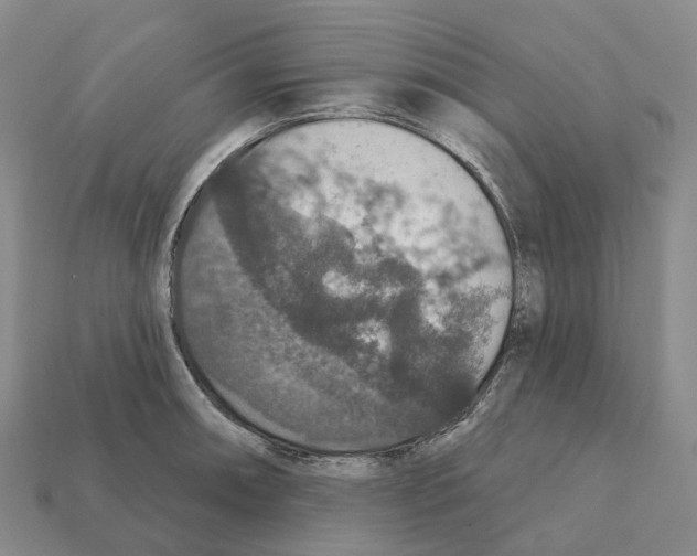 X0000112431090200909251531