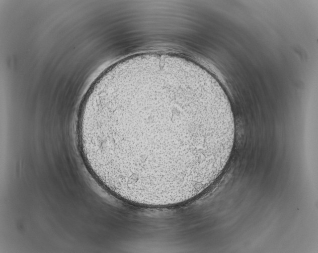 X0000112431091200909251531