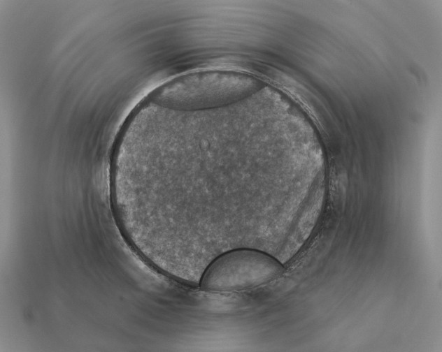X0000112431092200909251531