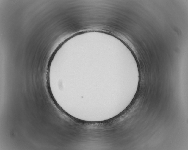 X0000112431093200909251531