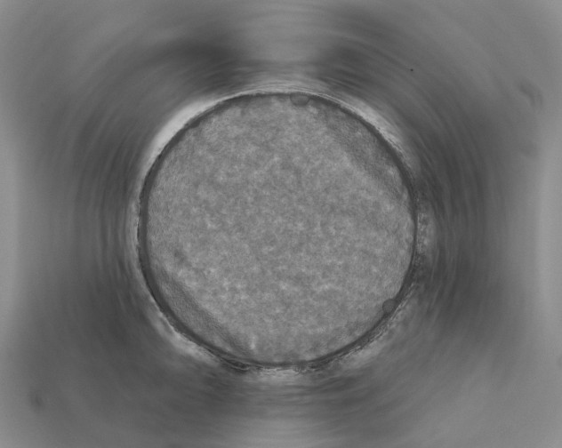 X0000112431094200909251531