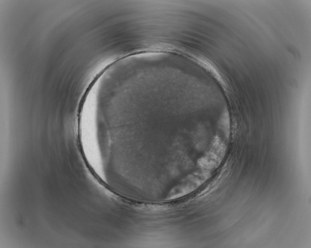 X0000112431095200909251531