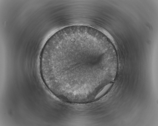 X0000112431096200909251531