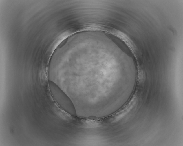 X0000112431097200909251531