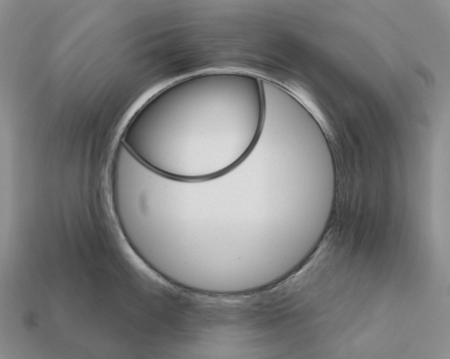 X0000112431100200909251531
