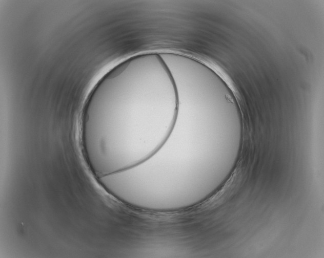 X0000112431101200909251531