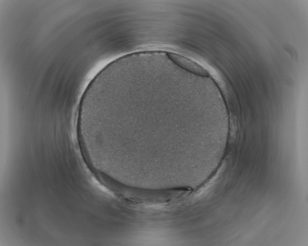 X0000112431102200909251531