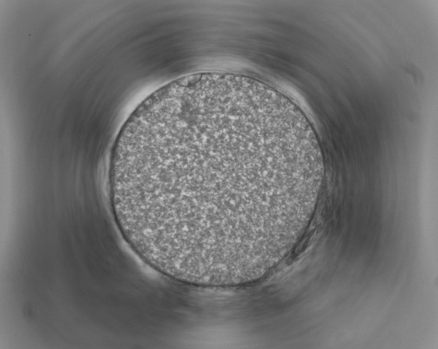 X0000112431103200909251531