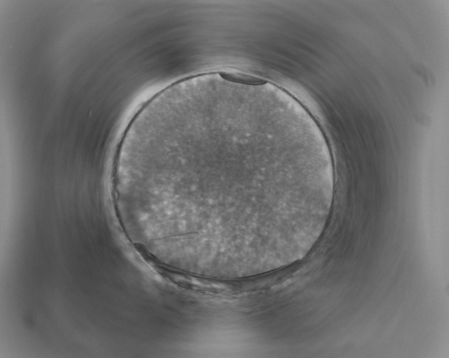 X0000112431104200909251531