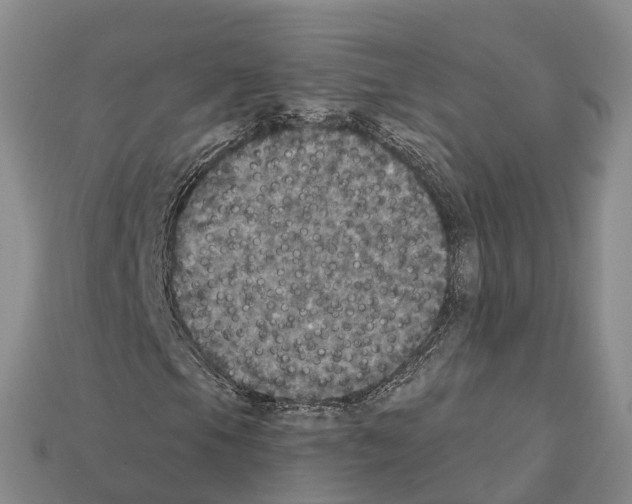 X0000112431105200909251531