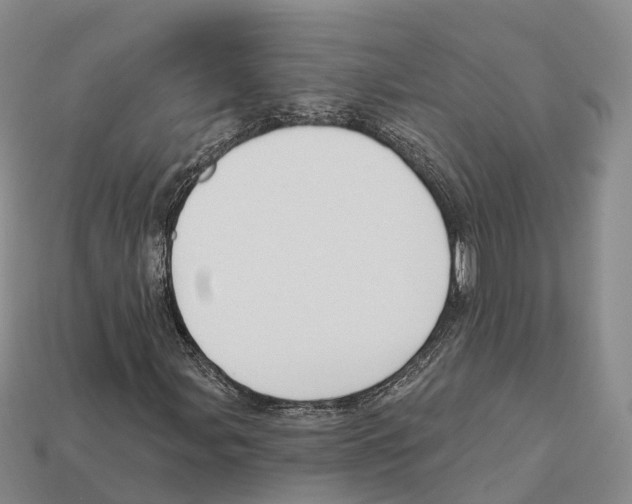 X0000112431107200909251531