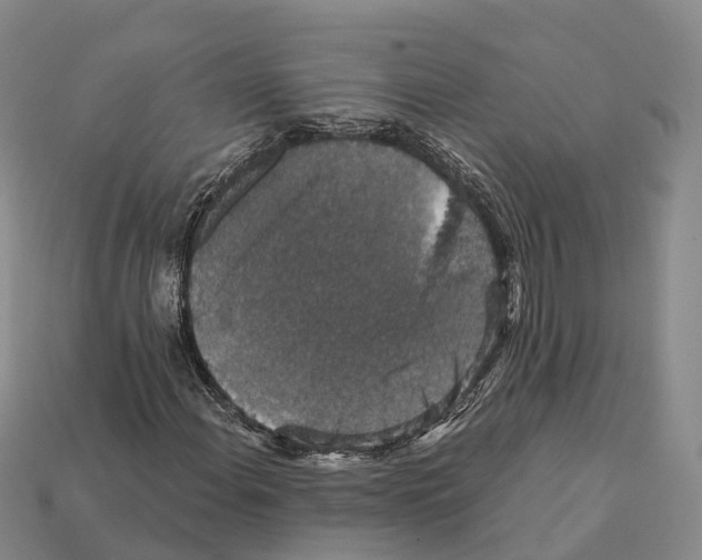 X0000112431108200909251531