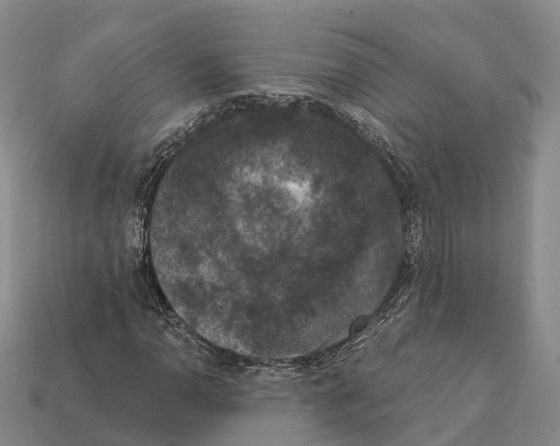 X0000112431110200909251531
