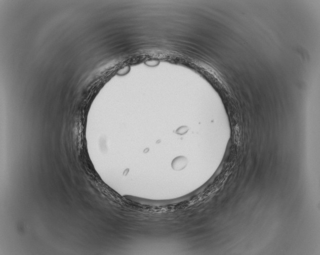 X0000112431111200909251531