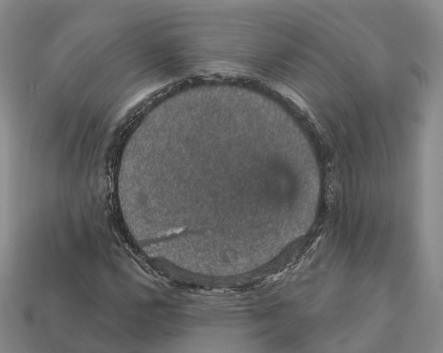 X0000112431112200909251531