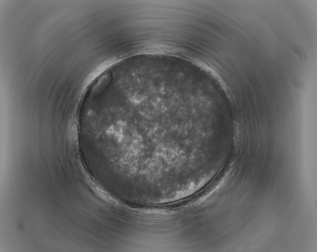 X0000112431114200909251531