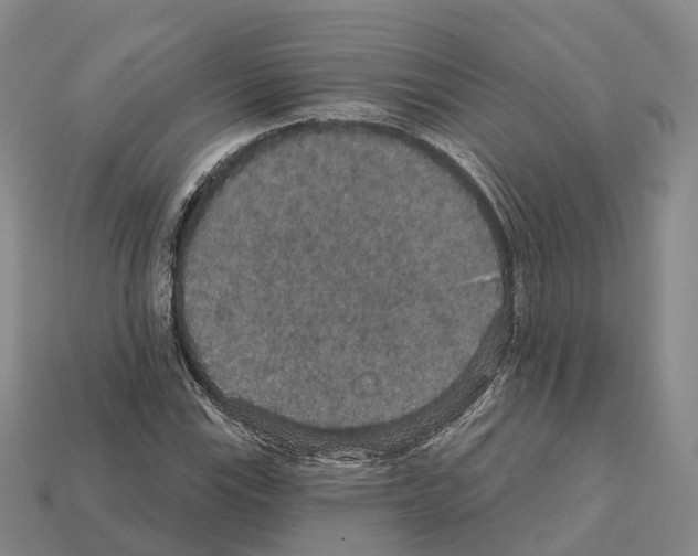 X0000112431115200909251531