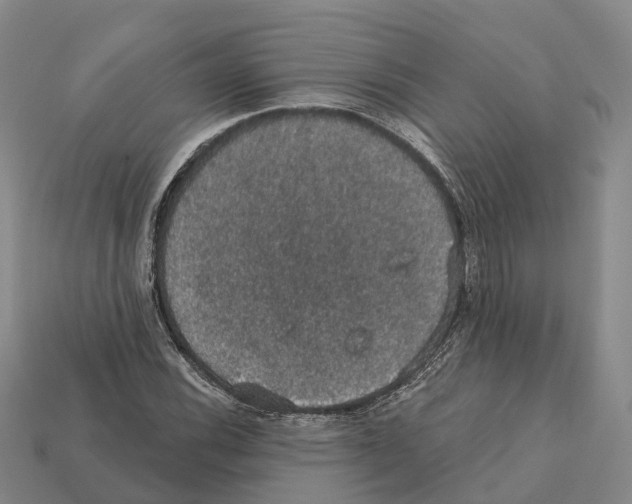 X0000112431116200909251531