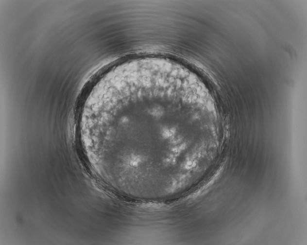 X0000112431117200909251531