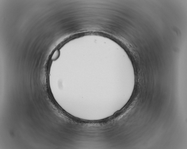 X0000112431118200909251531