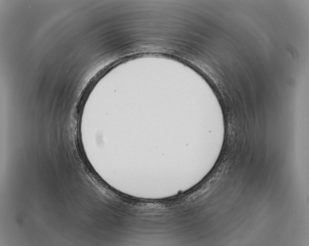 X0000112431119200909251531