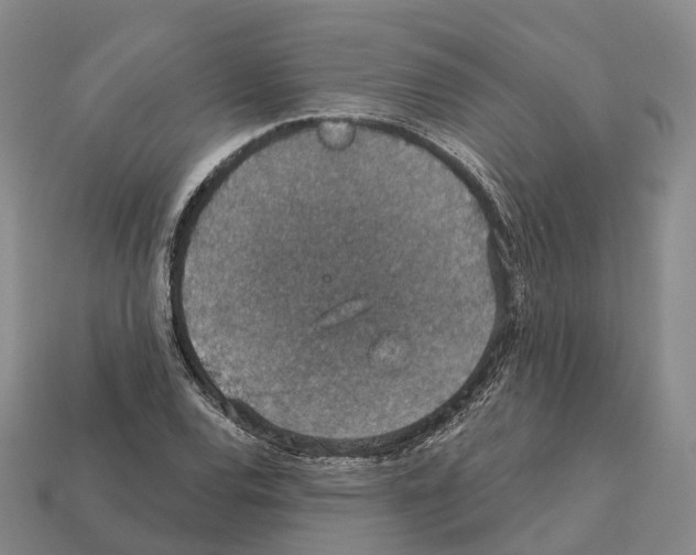 X0000112431120200909251531