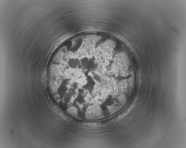 X0000112431121200909251531