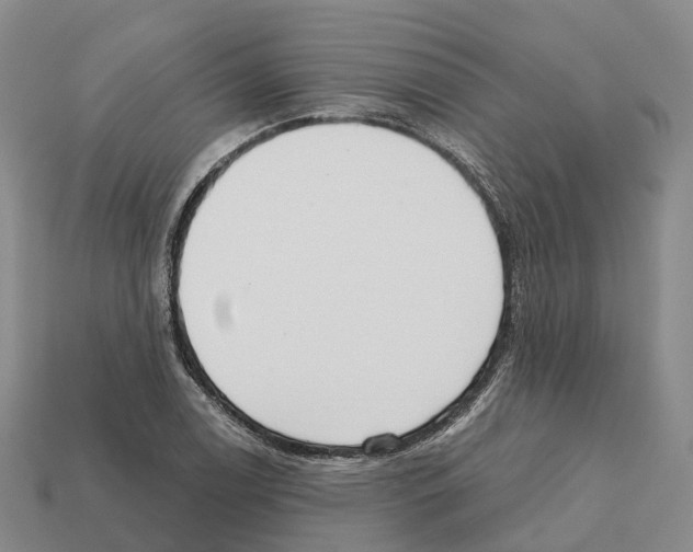 X0000112431122200909251531