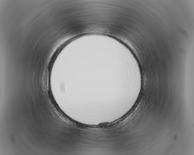 X0000112431123200909251531