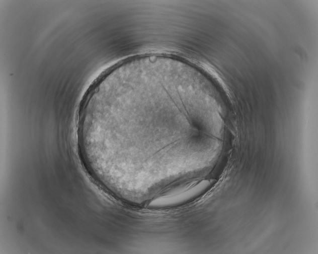 X0000112431124200909251531