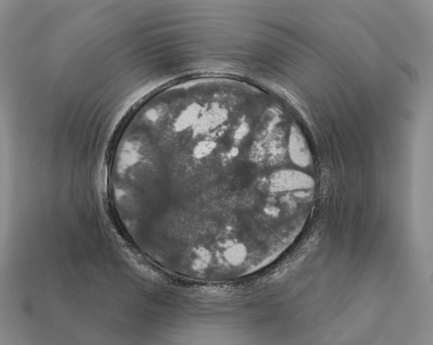 X0000112431125200909251531