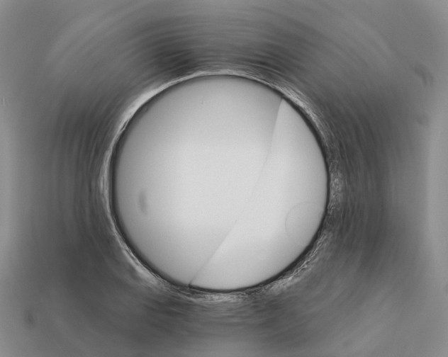 X0000112431127200909251531