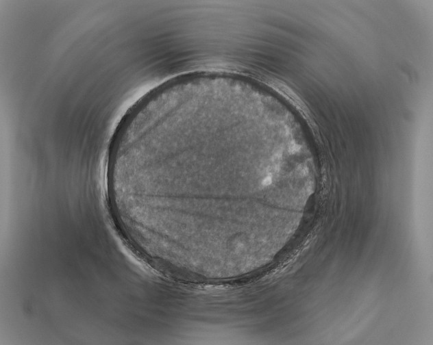 X0000112431128200909251531