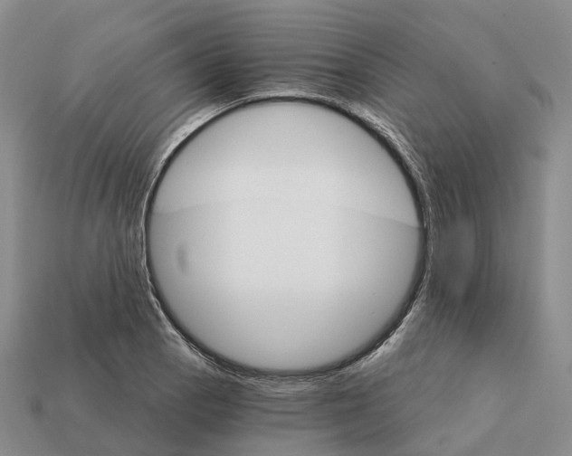 X0000112431129200909251531