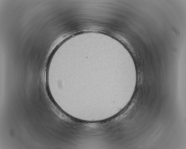 X0000112431130200909251531