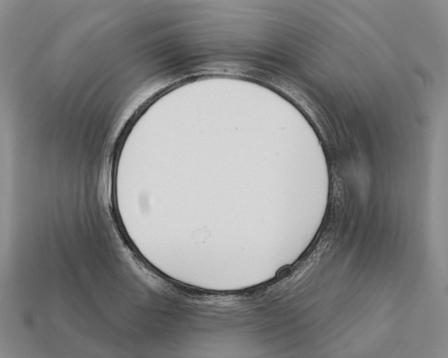 X0000112431131200909251531