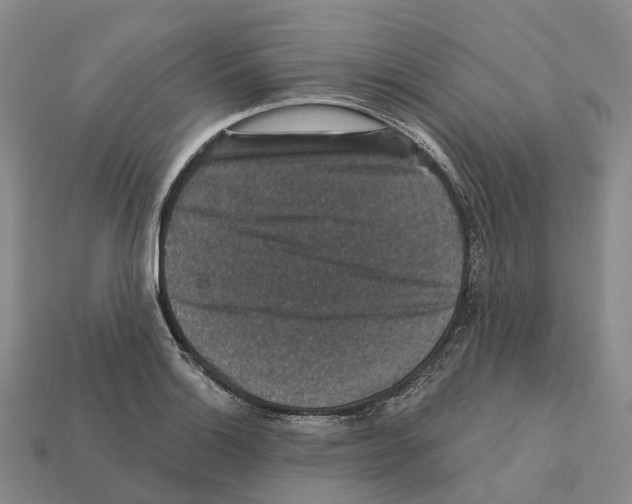 X0000112431132200909251531