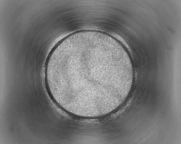 X0000112431133200909251531