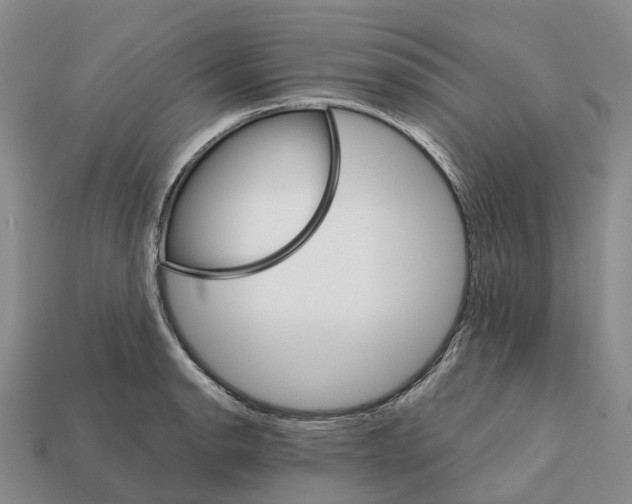 X0000112431134200909251531