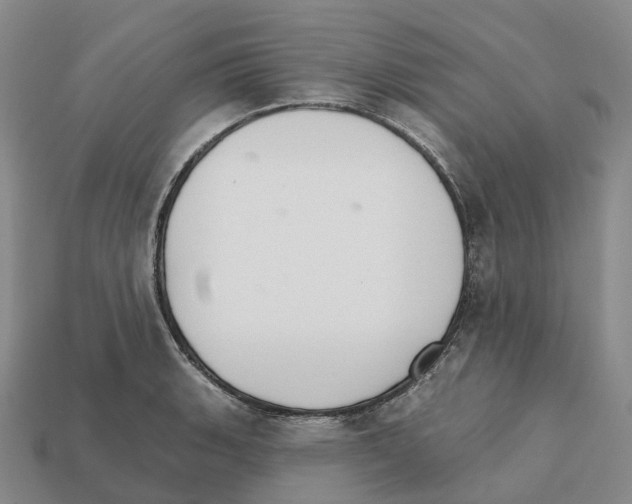 X0000112431135200909251531