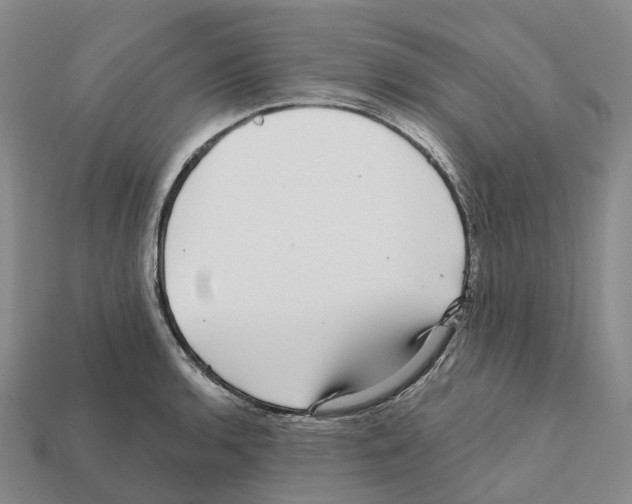X0000112431136200909251531