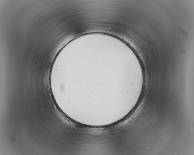X0000112431137200909251531