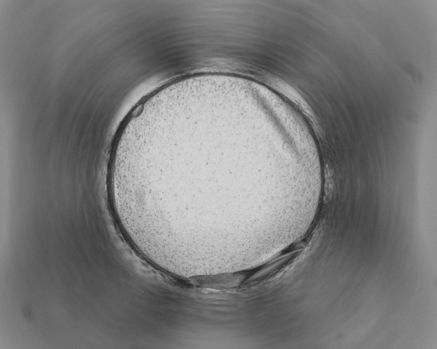 X0000112431138200909251531