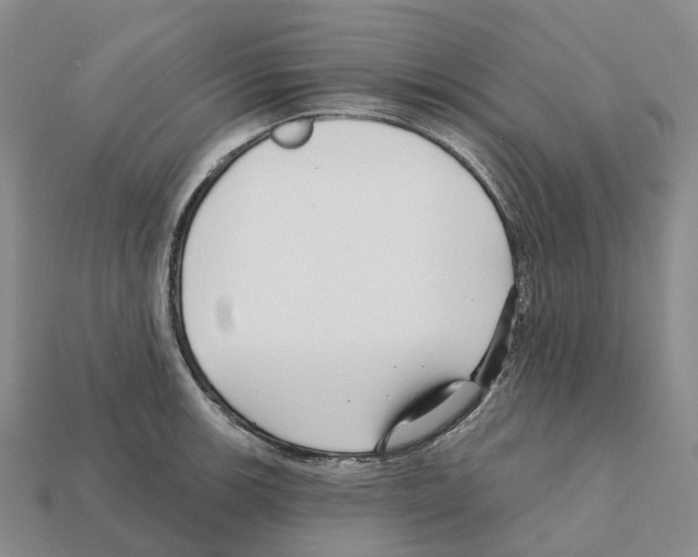 X0000112431139200909251531
