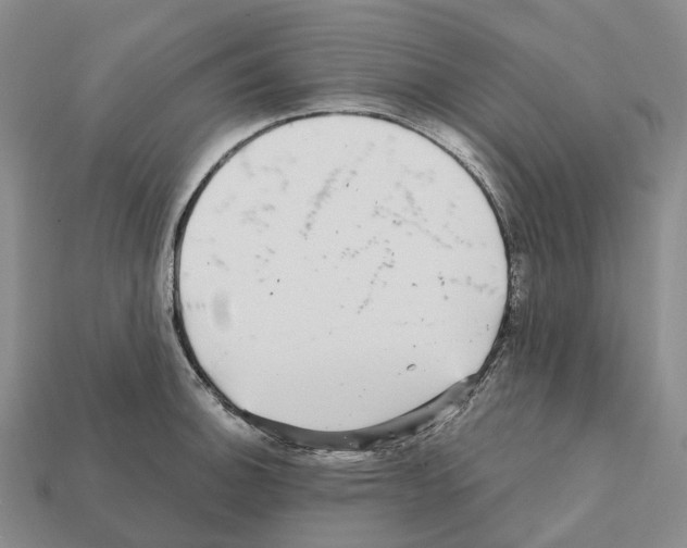 X0000112431140200909251531