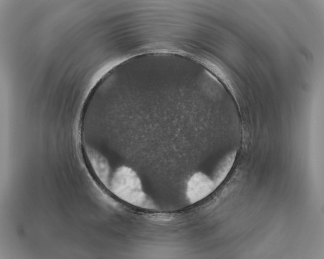 X0000112431141200909251531