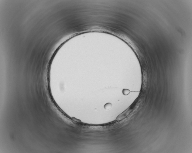 X0000112431142200909251531