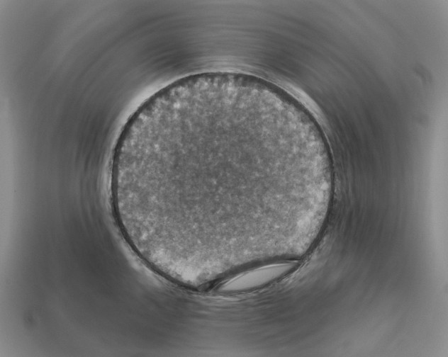 X0000112431144200909251531